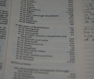 Zawód księgowej - perspektywy na rynku pracy w dobie cyfryzacji