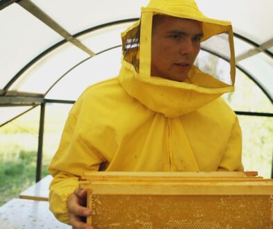 Zmiany na rynku pracy - jakie zawody znikną w najbliższych latach?