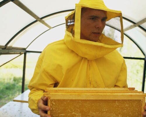 Zawód dietetyka - co musisz wiedzieć o jego perspektywach na rynku?